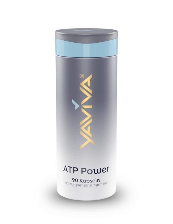 ATP : Energielieferant für die Zellen