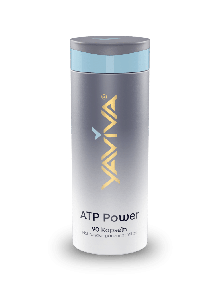 ATP : Energielieferant für die Zellen