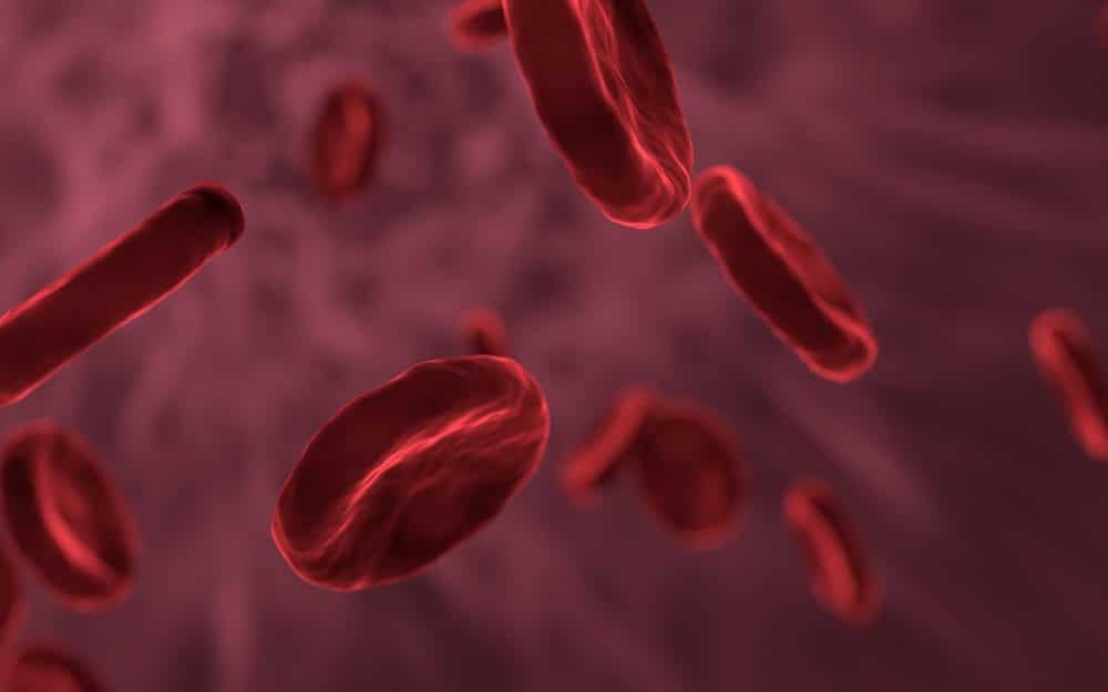 Mikronährstoffe haben einfluss auf den Blutzellen