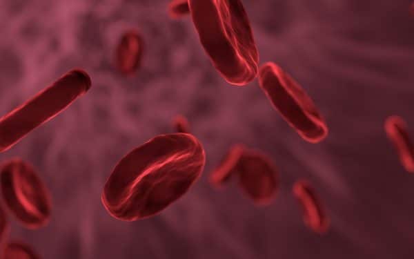 Mikronährstoffe haben einfluss auf den Blutzellen