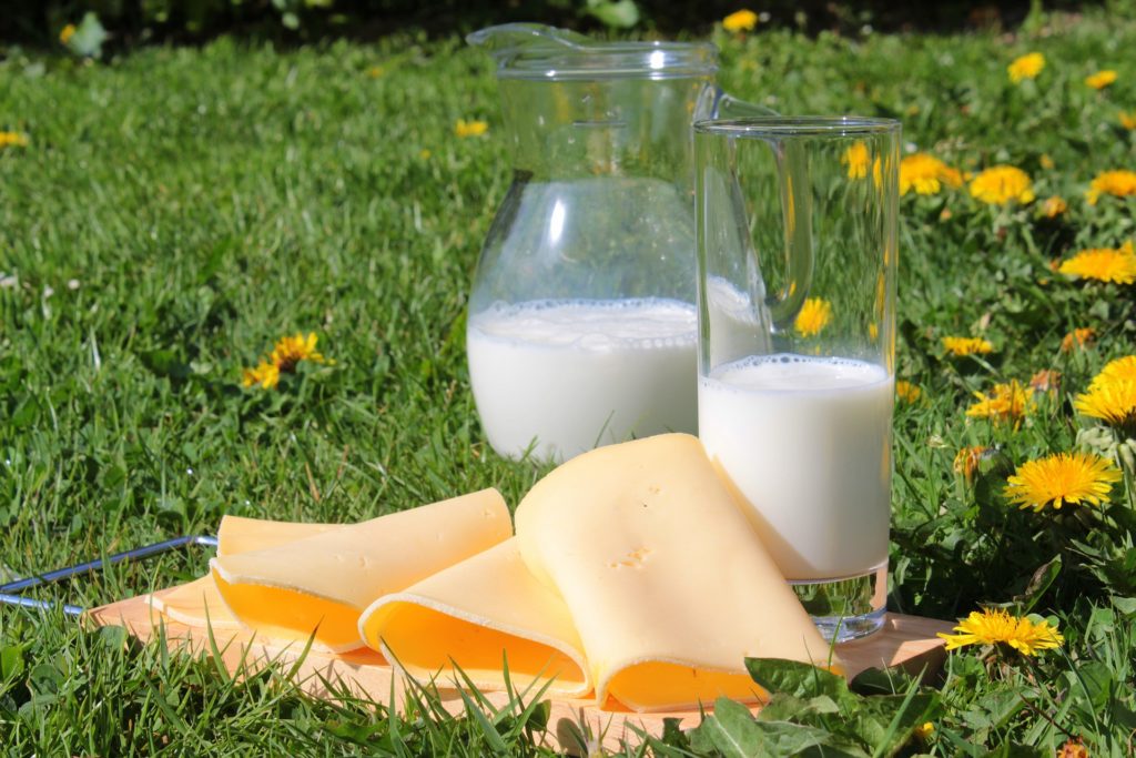 Milch und Käse