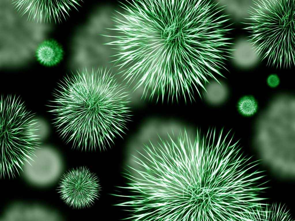 Antibiotikaresistente Bakterien