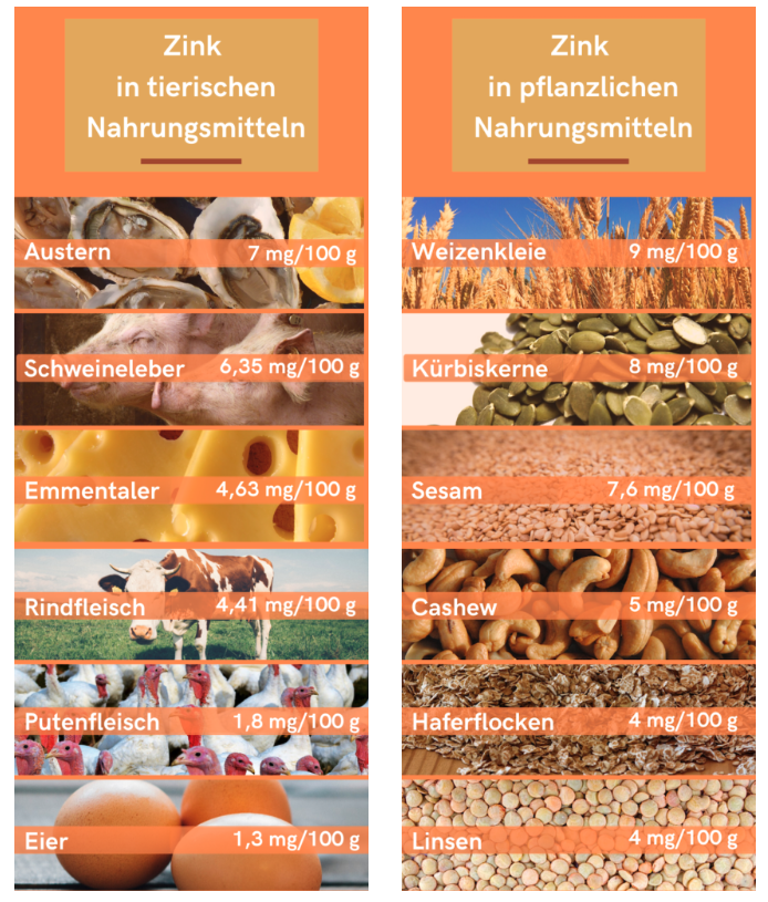 Tabelle Zink in tierischen und pflanzlichen Lebensmitteln