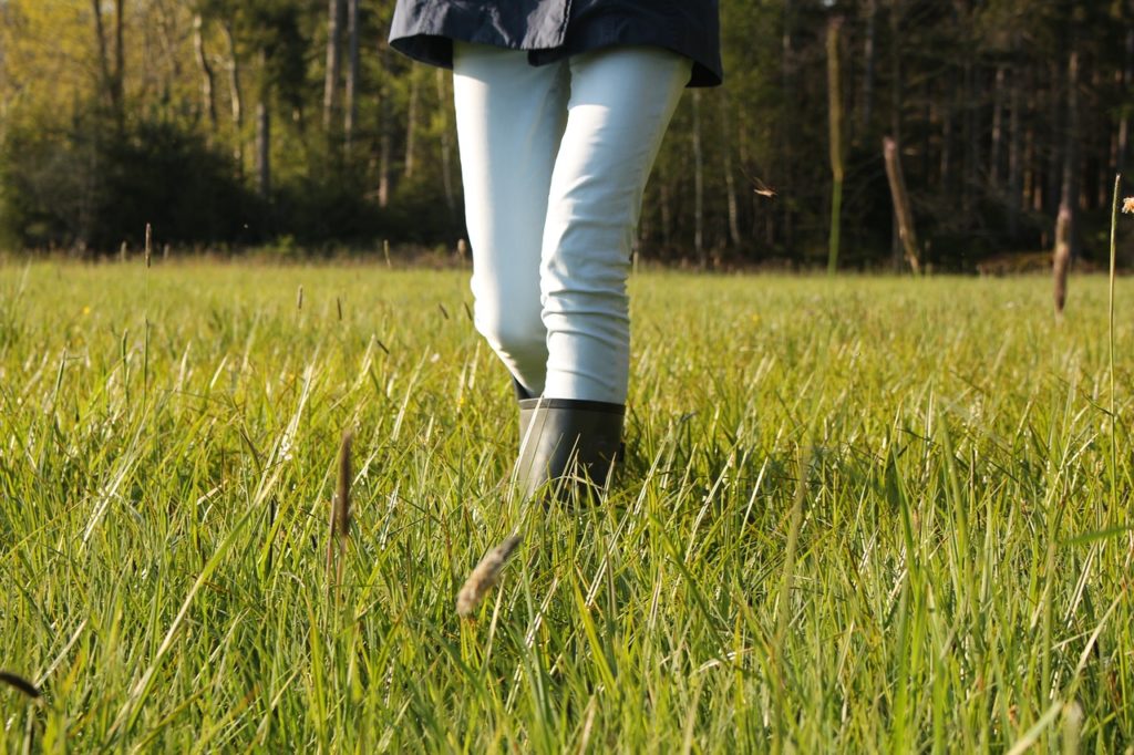 Aktiv in den Frühling - Spaziergang