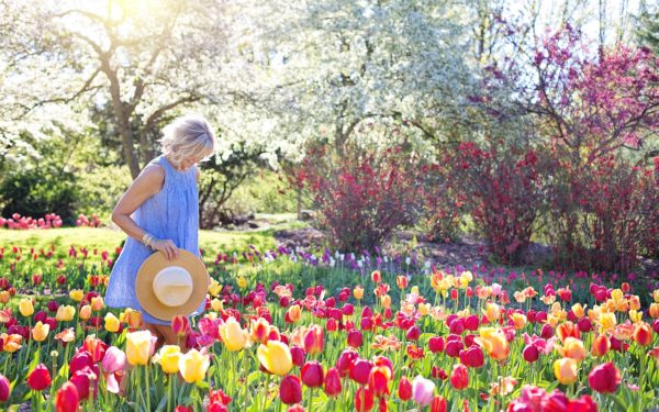 Tulpen - Frühling aktiv